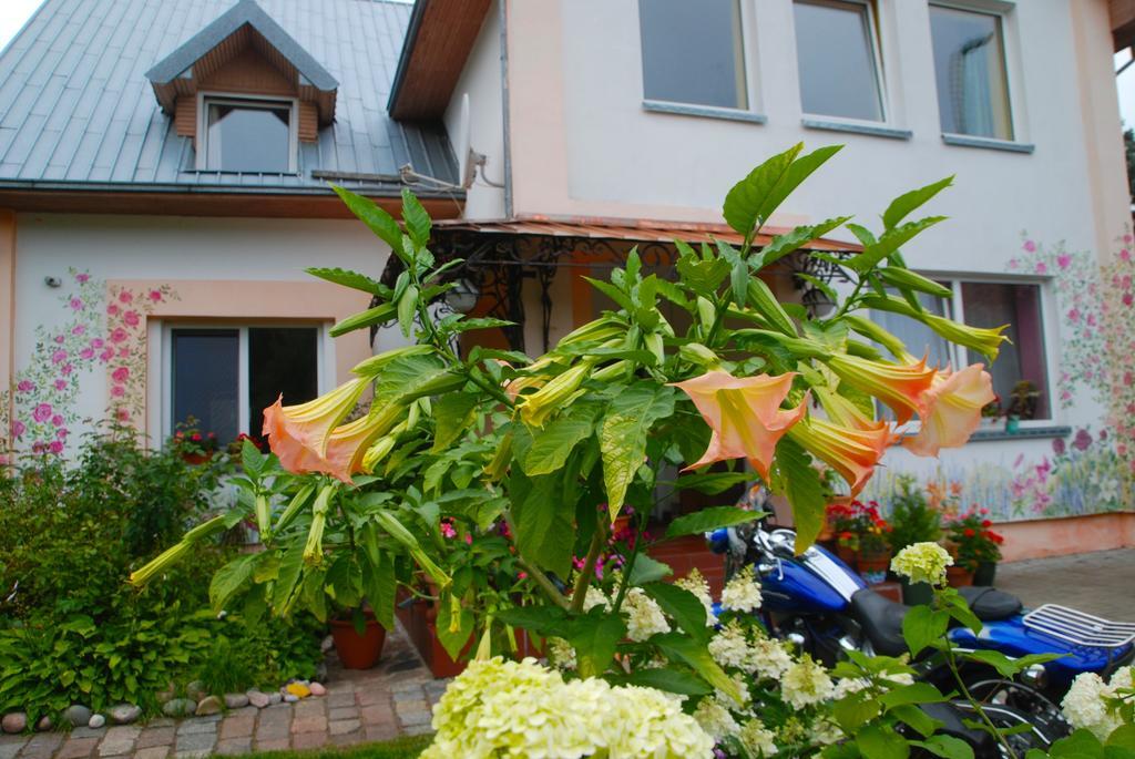 Audrones Sodyba Sventoji Ngoại thất bức ảnh